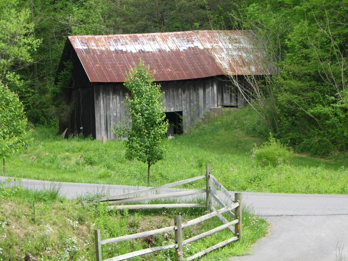 Cozy Creek Cabin Pigeon Forge Exterior photo